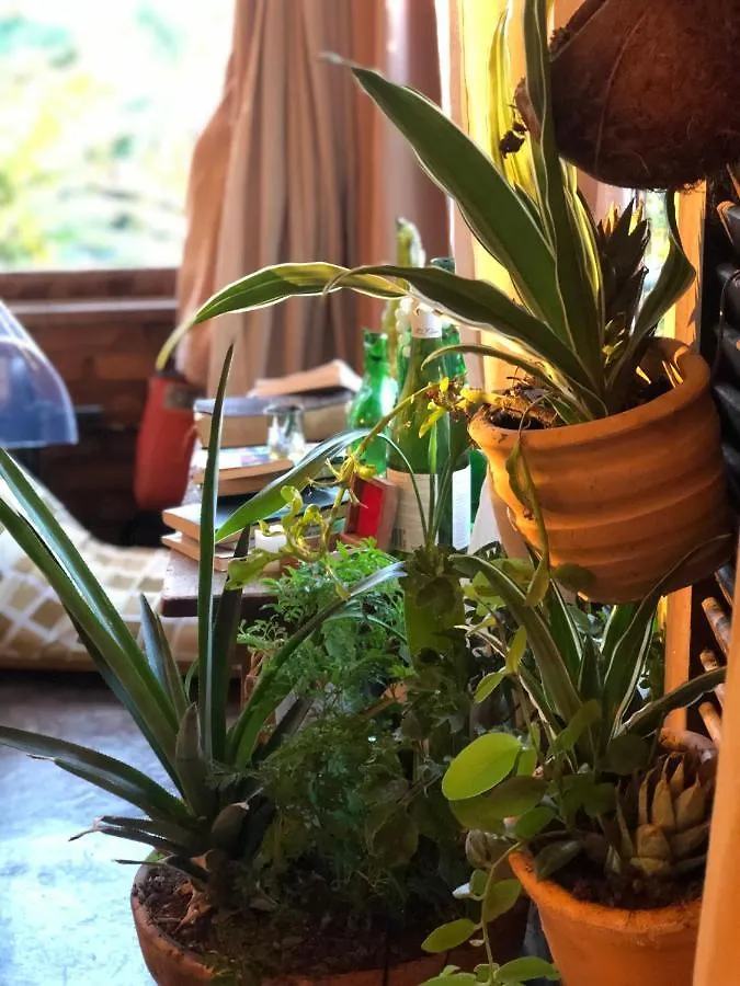 Nyaraló Casa Amarela De Cacupe Villa Florianópolis Brazília